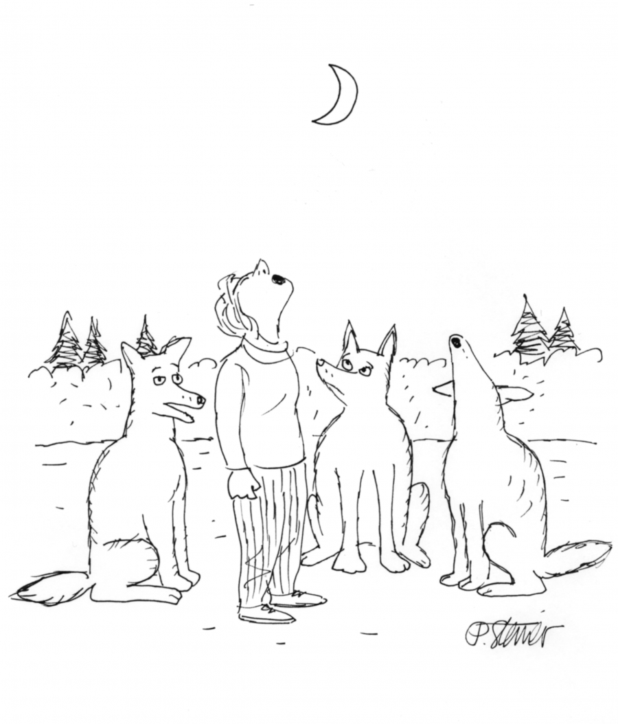 Cartoon of a woman howling with wolves outside at night.